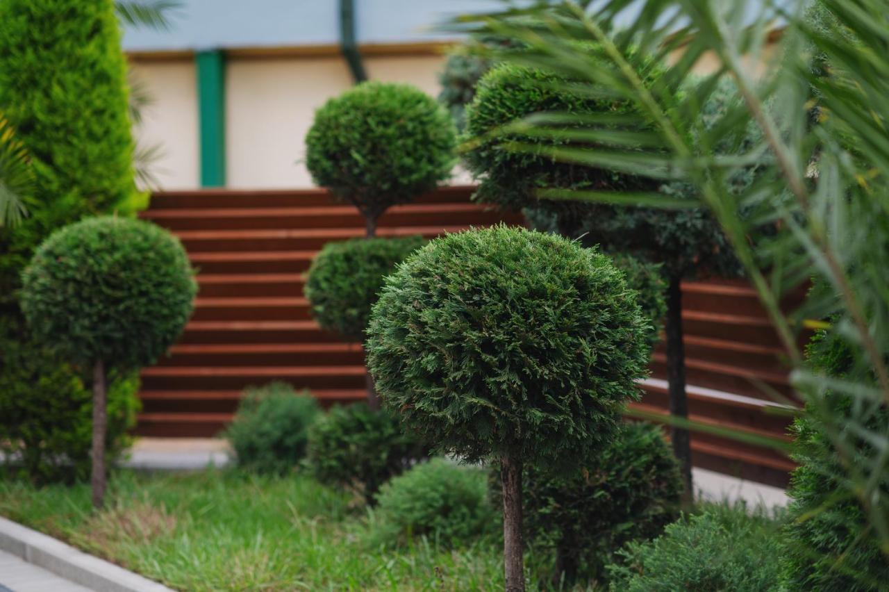 Ritsa Resort Ureki Dış mekan fotoğraf