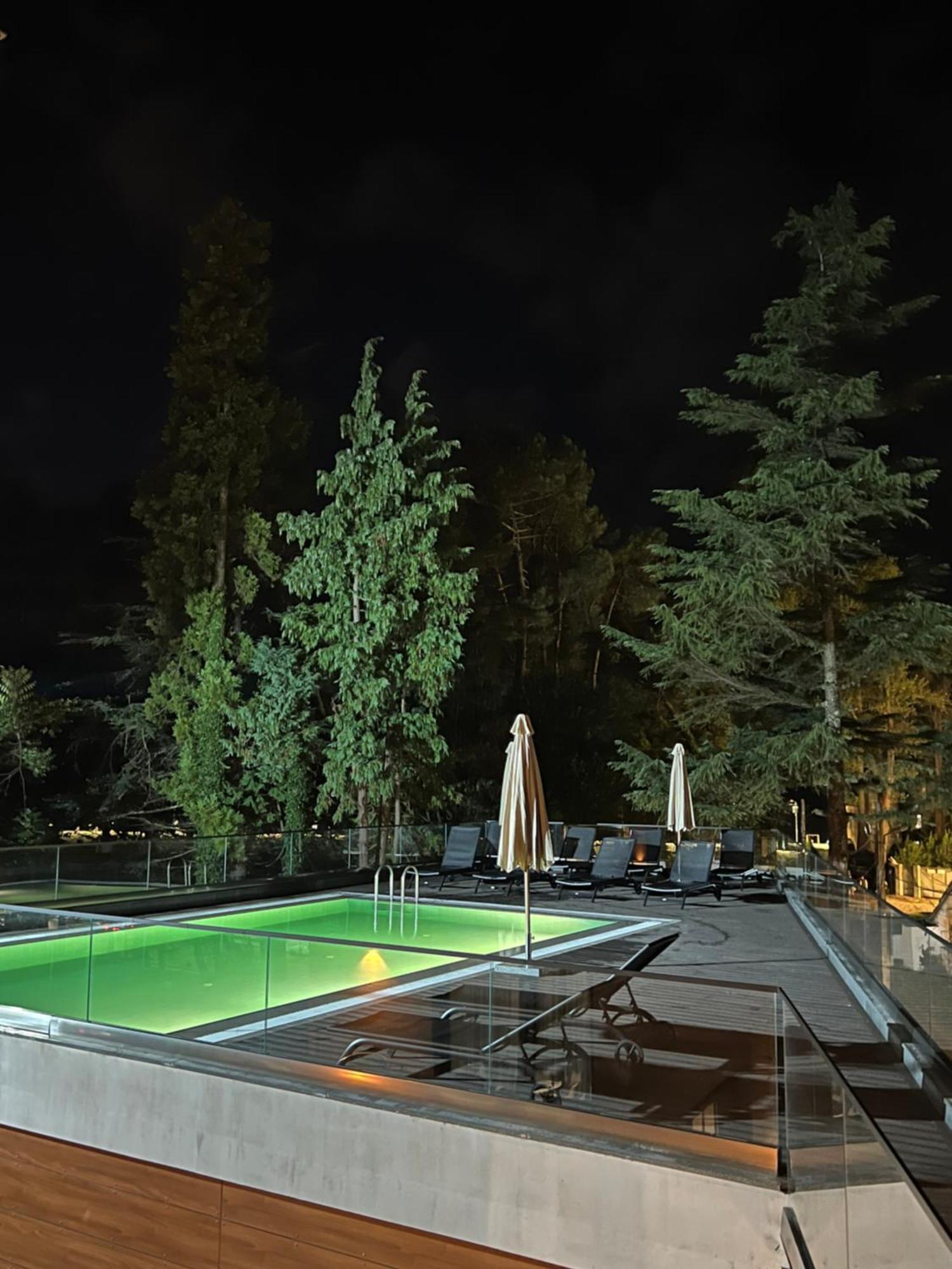 Ritsa Resort Ureki Dış mekan fotoğraf